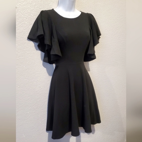 H&M Elegant Black Ruffled Sleeve Fit & Flare Dress Size XS - Picture 3 of 6
